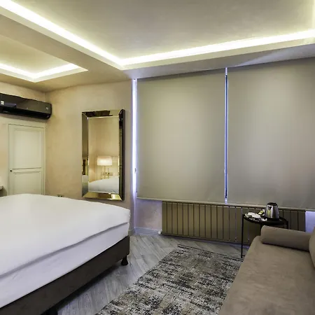 Ayramin Deluxe Taksim Istanboel