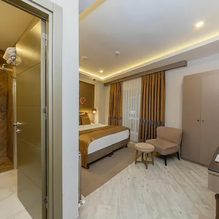Ayramin Deluxe Taksim 3* Istanboel