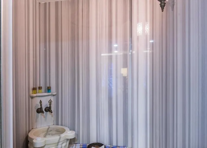 Hotel Ayramin Deluxe Hotel Taksim 3*