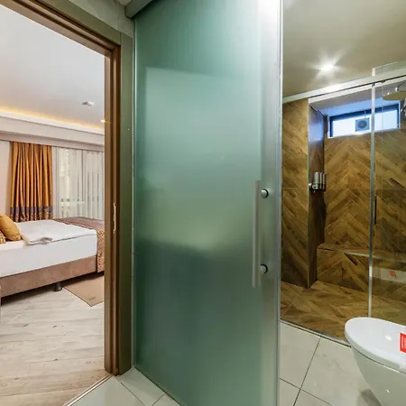 Ayramin Deluxe Taksim Отель Стамбул