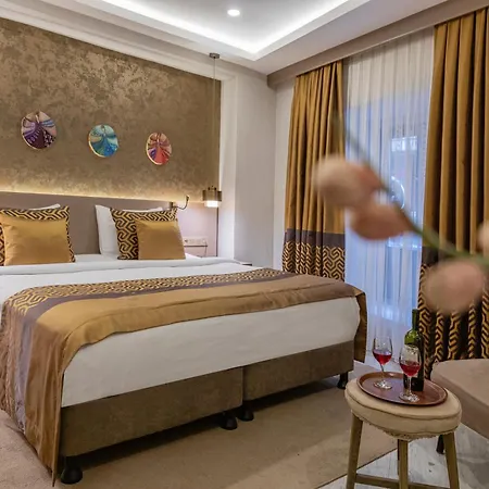 Ayramin Deluxe Taksim Hotel Istanboel
